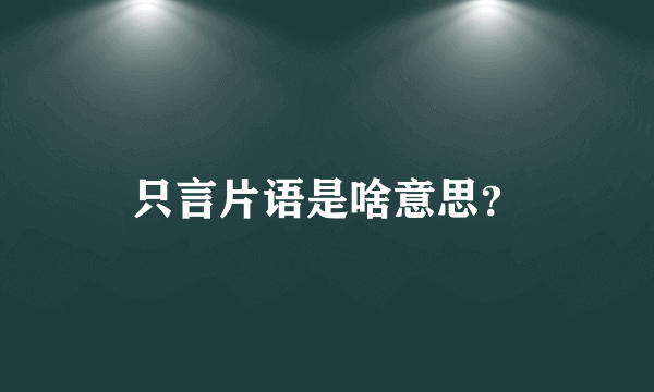 只言片语是啥意思？