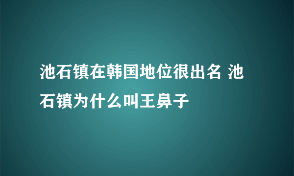 池石镇在韩国地位很出名 池石镇为什么叫王鼻子