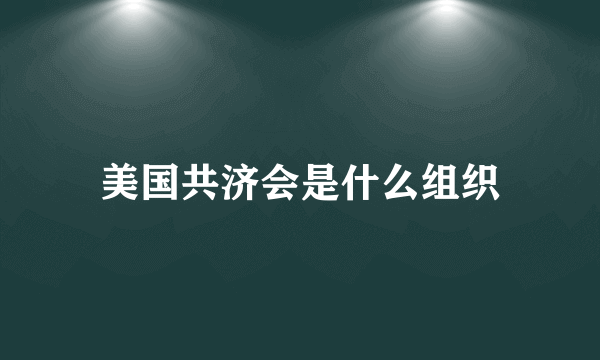 美国共济会是什么组织