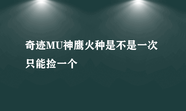 奇迹MU神鹰火种是不是一次只能捡一个