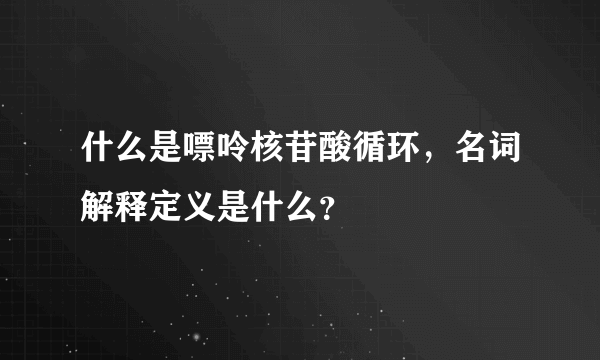 什么是嘌呤核苷酸循环，名词解释定义是什么？