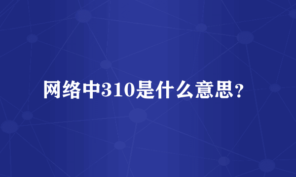 网络中310是什么意思？