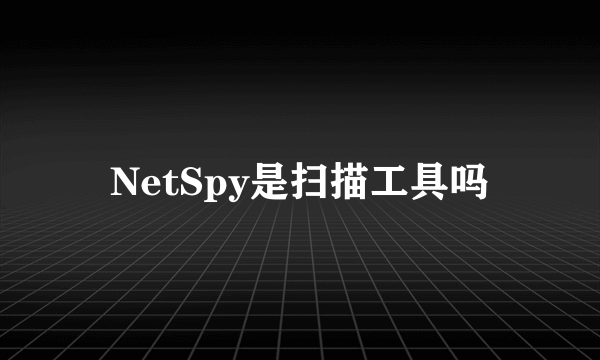 NetSpy是扫描工具吗