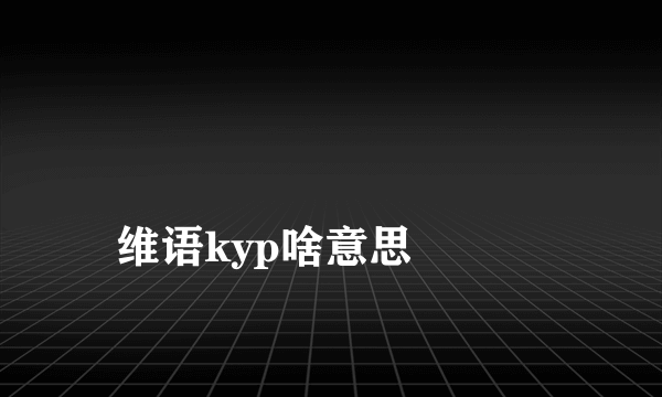 
维语kyp啥意思

