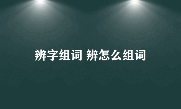 辨字组词 辨怎么组词