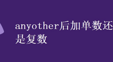 anyother后加单数还是复数？