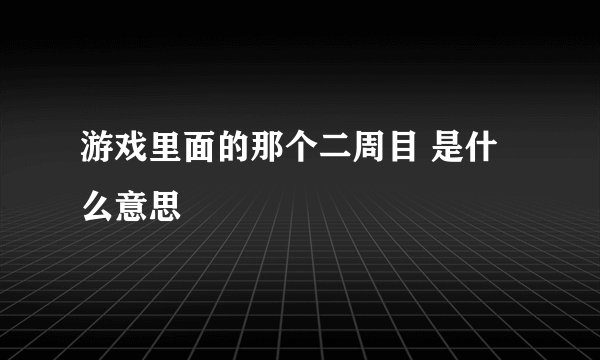 游戏里面的那个二周目 是什么意思