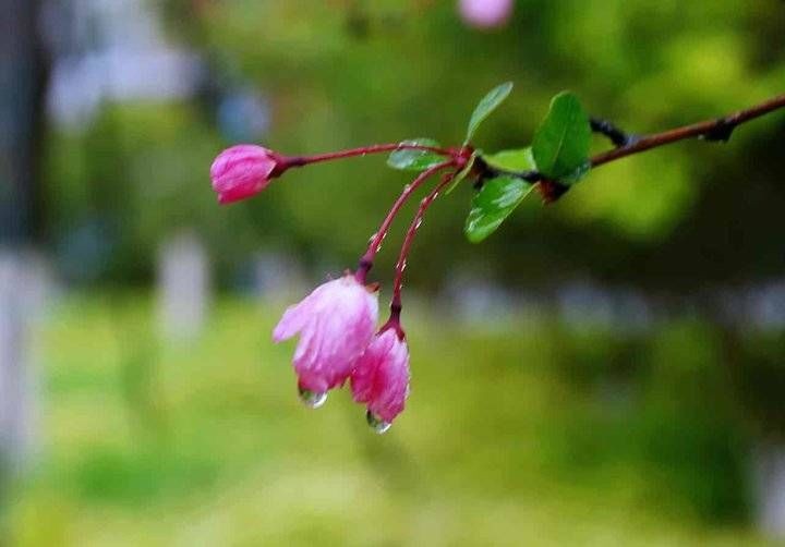 蒙蒙细雨 类似这样的词语，要多哦？