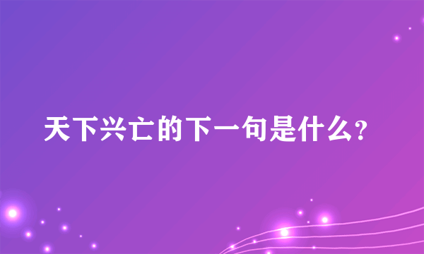 天下兴亡的下一句是什么？