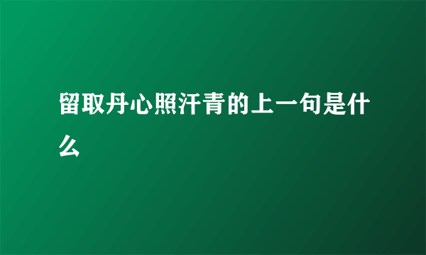 留取丹心照汗青的上一句是什么