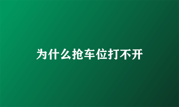 为什么抢车位打不开