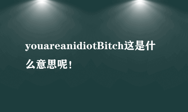 youareanidiotBitch这是什么意思呢！