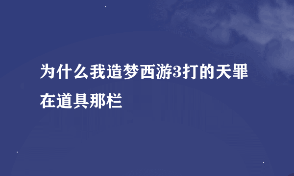 为什么我造梦西游3打的天罪在道具那栏