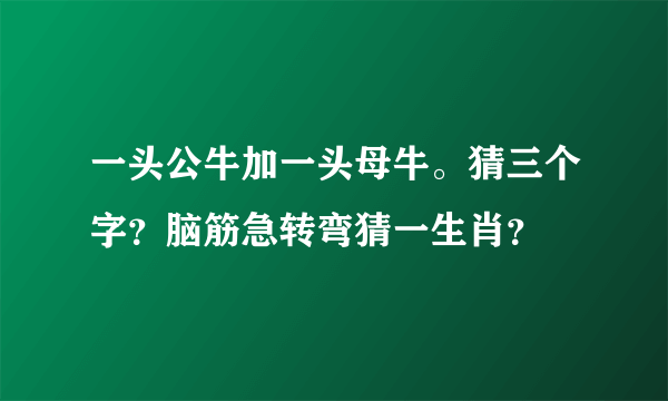 一头公牛加一头母牛。猜三个字？脑筋急转弯猜一生肖？