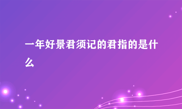 一年好景君须记的君指的是什么