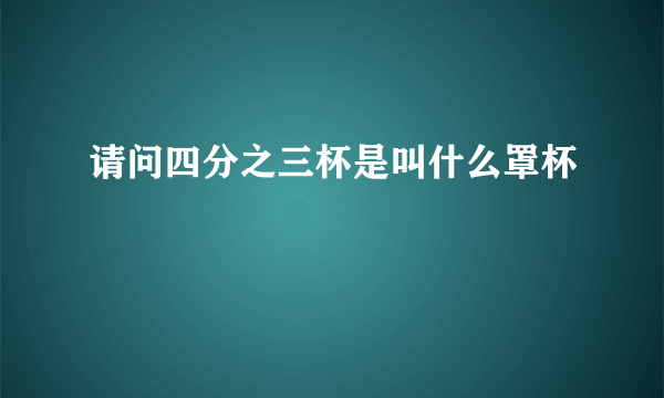 请问四分之三杯是叫什么罩杯