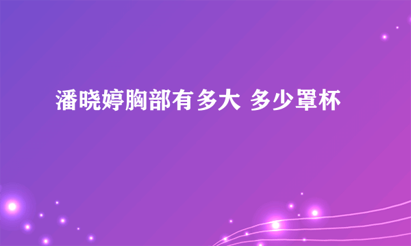 潘晓婷胸部有多大 多少罩杯