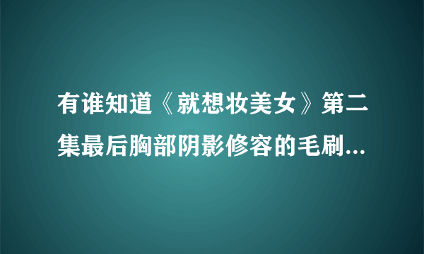 有谁知道《就想妆美女》第二集最后胸部阴影修容的毛刷是什么品牌的？