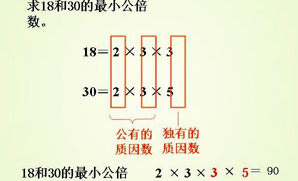 什么是互为质数