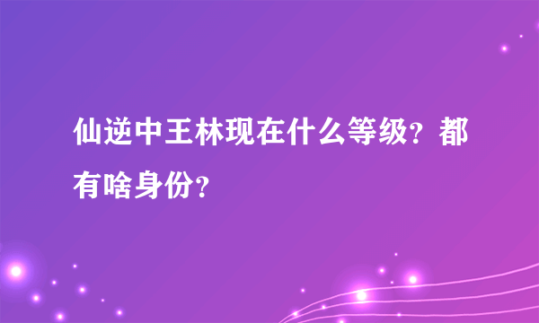 仙逆中王林现在什么等级？都有啥身份？