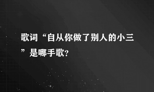 歌词“自从你做了别人的小三”是哪手歌？