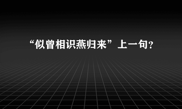 “似曾相识燕归来”上一句？