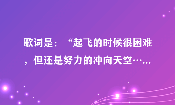 歌词是：“起飞的时候很困难，但还是努力的冲向天空……”请问歌曲名称是？