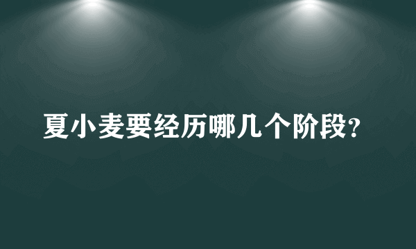 夏小麦要经历哪几个阶段？