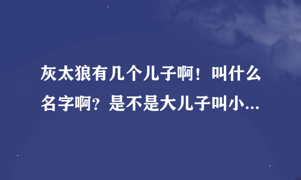 灰太狼有几个儿子啊！叫什么名字啊？是不是大儿子叫小灰灰啊！