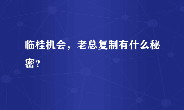 临桂机会，老总复制有什么秘密？