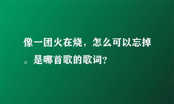 像一团火在烧，怎么可以忘掉。是哪首歌的歌词？