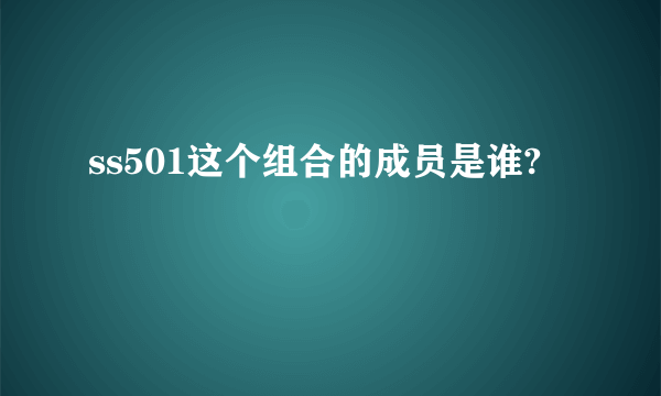 ss501这个组合的成员是谁?