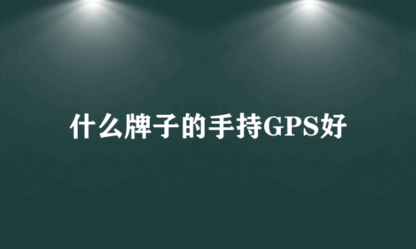 什么牌子的手持GPS好