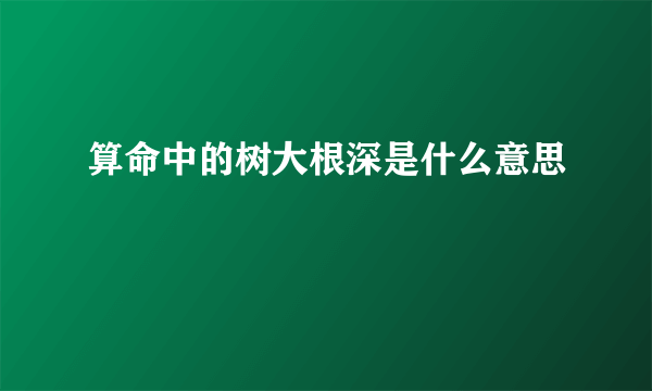 算命中的树大根深是什么意思