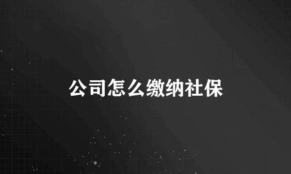 公司怎么缴纳社保