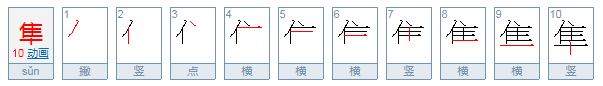 隼怎么读？