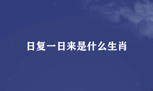 日复一日来是什么生肖