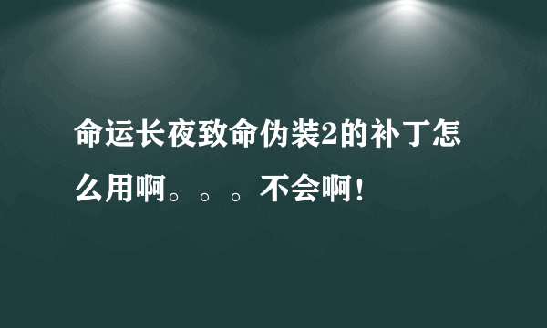 命运长夜致命伪装2的补丁怎么用啊。。。不会啊！