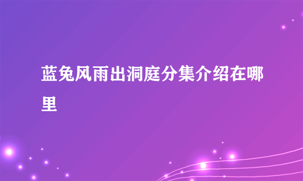 蓝兔风雨出洞庭分集介绍在哪里