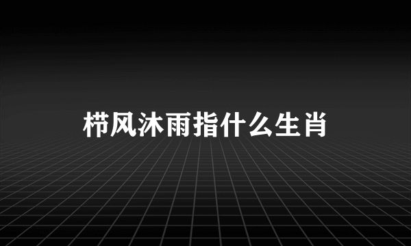 栉风沐雨指什么生肖