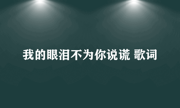 我的眼泪不为你说谎 歌词