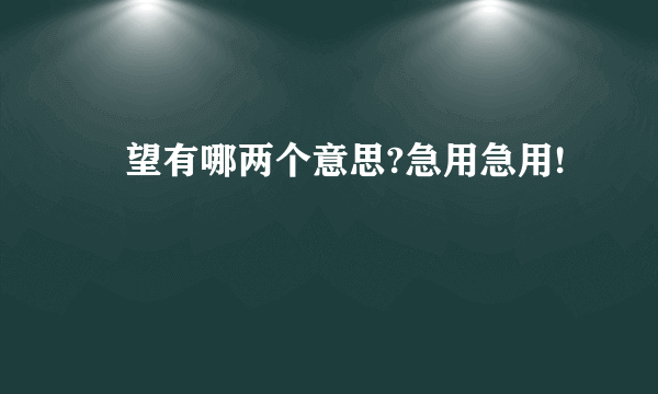 暸望有哪两个意思?急用急用!