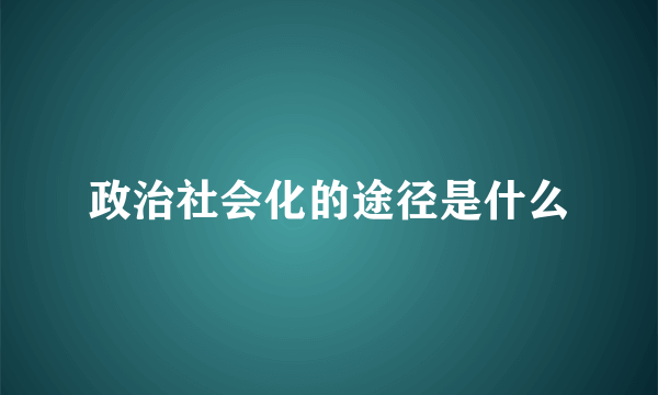 政治社会化的途径是什么