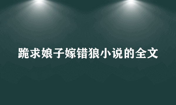 跪求娘子嫁错狼小说的全文