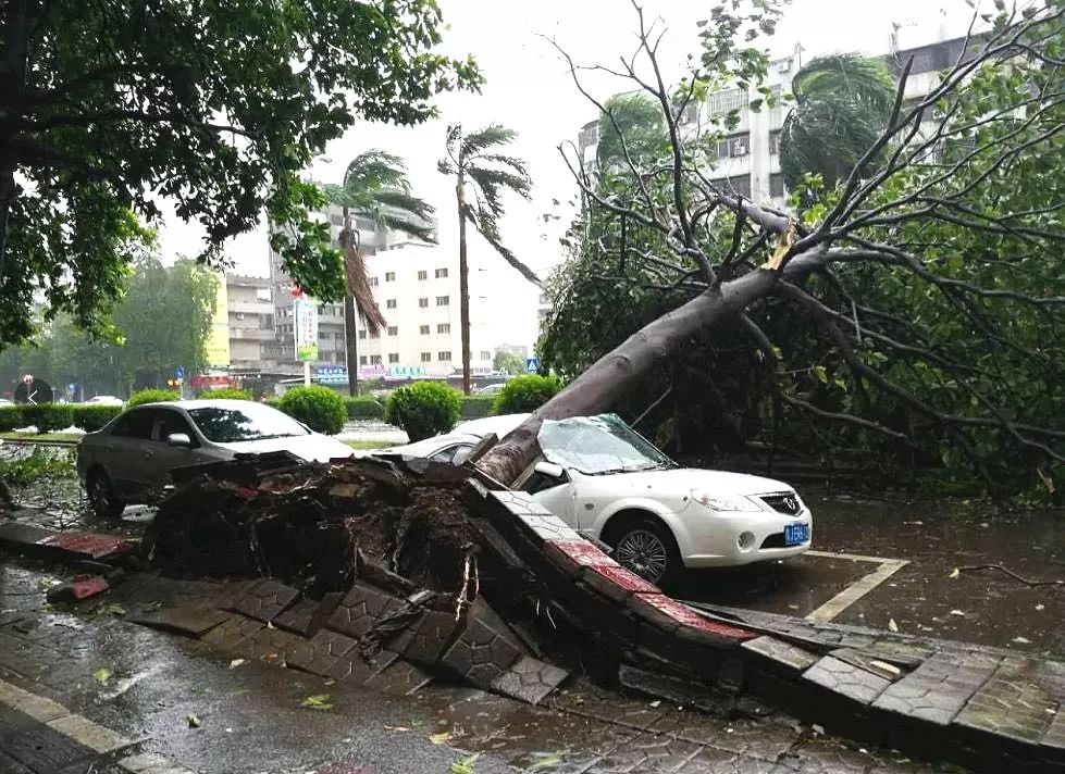 台风“烟花”本体已上岸，浙江拉响海浪红色预警，此次台风的威力有多强？