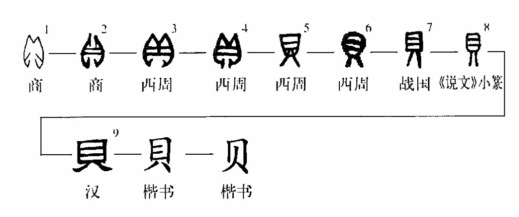 贝的偏旁部首是什么？