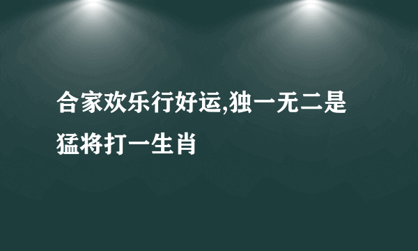 合家欢乐行好运,独一无二是猛将打一生肖