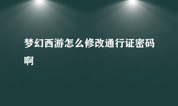 梦幻西游怎么修改通行证密码啊