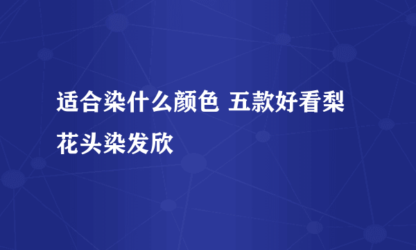 适合染什么颜色 五款好看梨花头染发欣