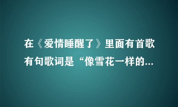 在《爱情睡醒了》里面有首歌有句歌词是“像雪花一样的柔柔”请问这首歌的哥名是？